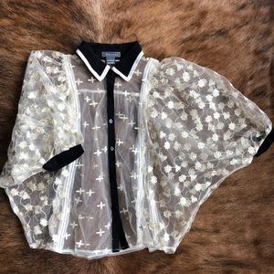Fabulous Sheer Button Down Blouse